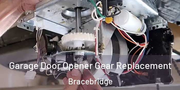 Garage Door Opener Gear Replacement Bracebridge